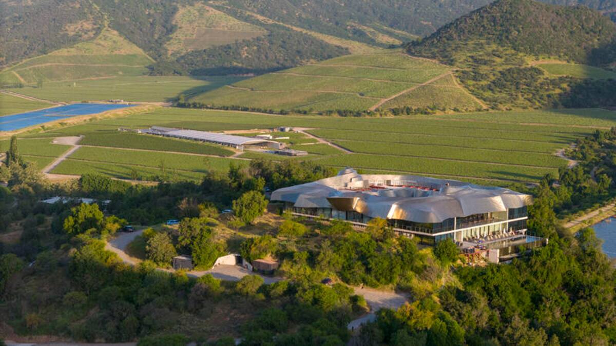 Longevity Wine Destination