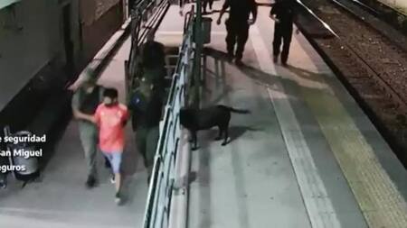 Detenido en el tren San Martín por portar un arma de fuego