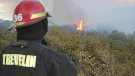 Incendio en el Parque Nacional Los Alerces. Foto: NA