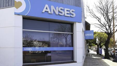ANSES. Foto: NA /prensa