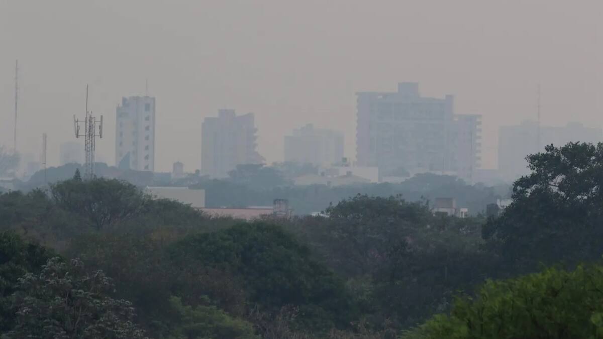 Incendios forestales y una intensa sequía destruyen comunidades y afectan la biodiversidad en Bolivia