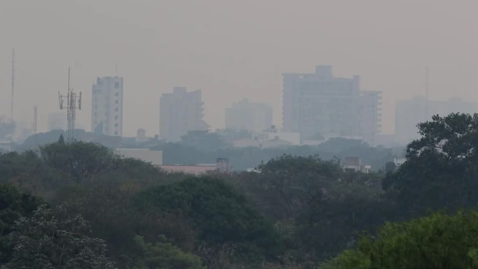 Incendios forestales y una intensa sequía destruyen comunidades y afectan la biodiversidad en Bolivia