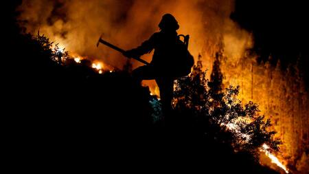 Incendios en Tenerife. Foto: Reuters.