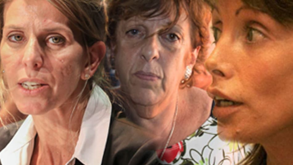 Fiscal Fein, Arroyo Salgado, Fabiana Palmaghini