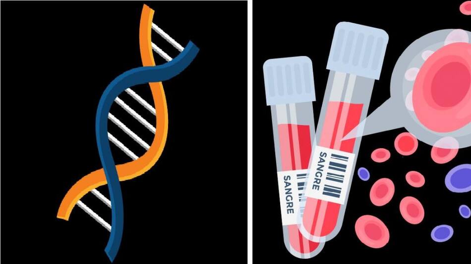 Mielofibrosis, Cáncer