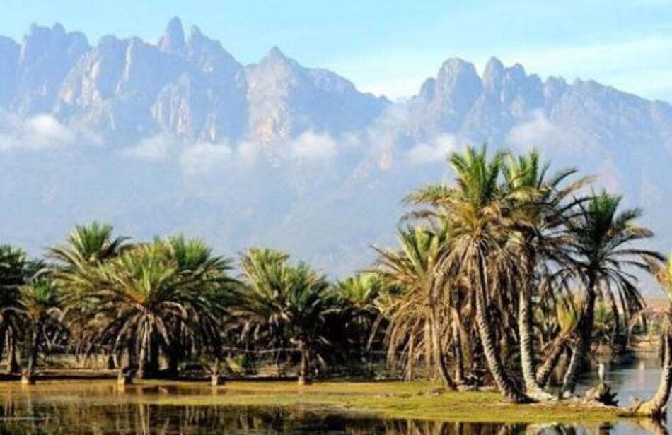 Islas de Socotra, Foto Getty Images