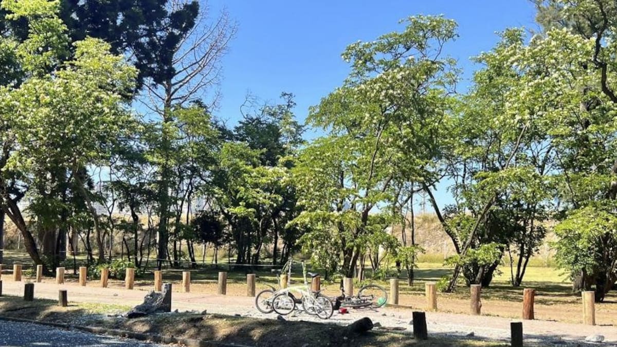 Accidente fatal en los Bosques de Palermo, AGENCIA NA