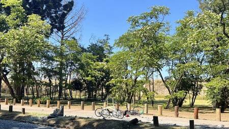 Accidente fatal en los Bosques de Palermo, AGENCIA NA