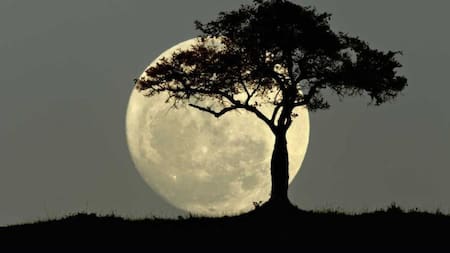 Última superluna del 2022. Foto: NA.