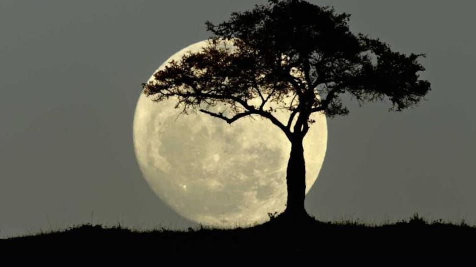 Última superluna del 2022. Foto: NA.