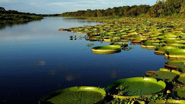 Ley de Humedales: ¿De qué se trata y qué piensan los jóvenes?