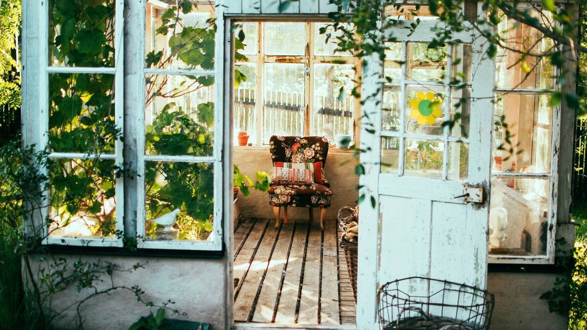 Las flores más vibrantes del verano que llenan de vida el jardín. Foto Unsplash