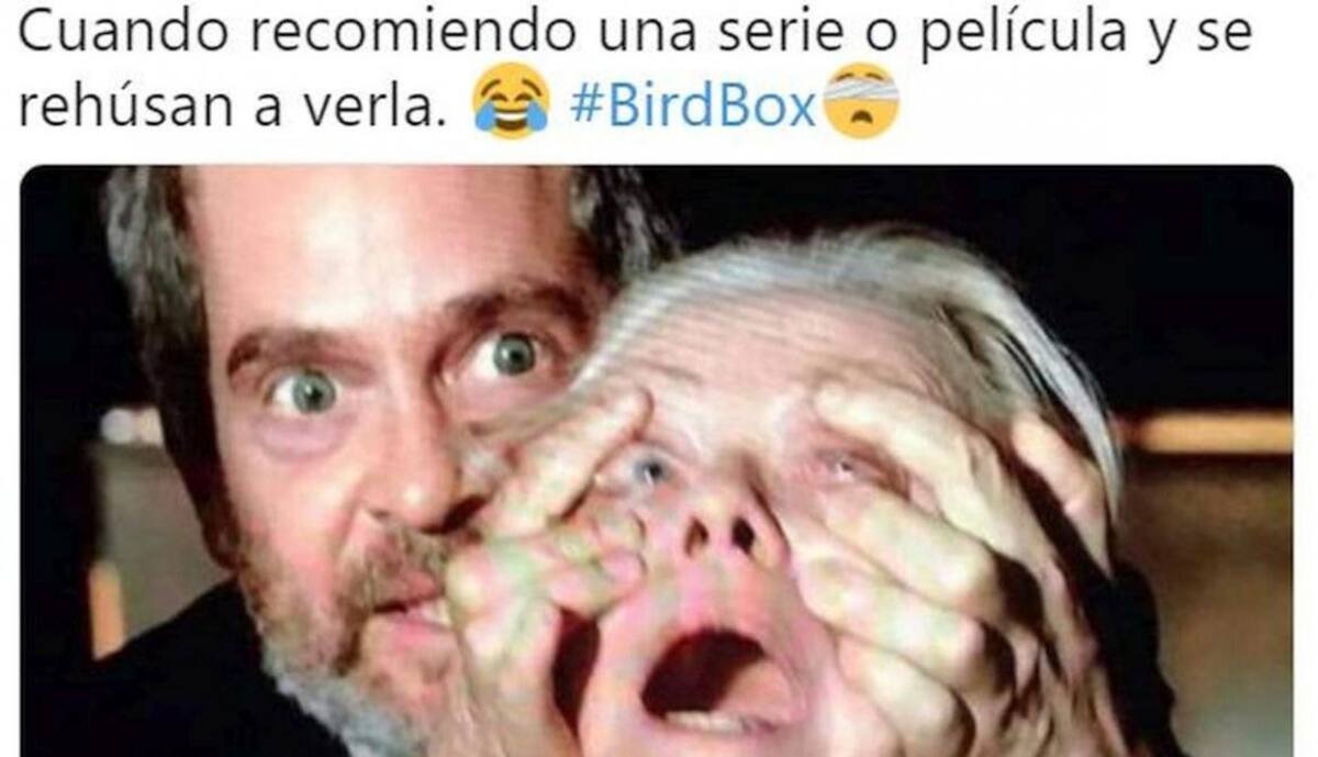 Memes Bird Box - Netflix