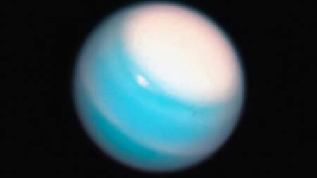 Urano. Foto: Unsplash.