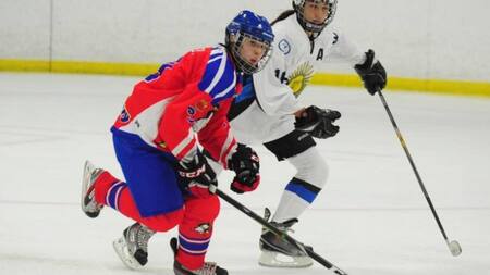 Hockey sobre hielo, selección argentina