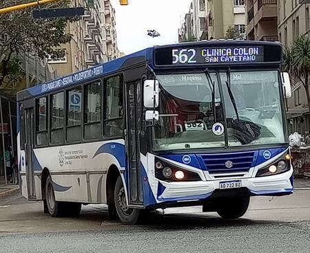 Colectivo de la línea 562 de Mar del Plata.