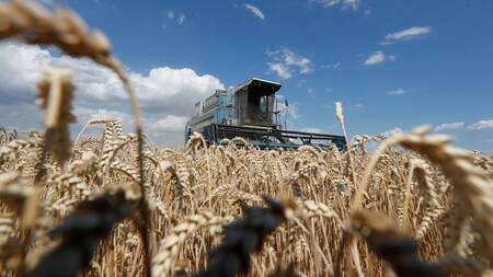Máquina cosechando trigo en un campo de Kiev, Ucrania. Foto: Reuters.