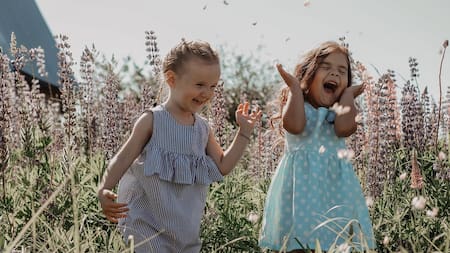 Día del Niño 2025.