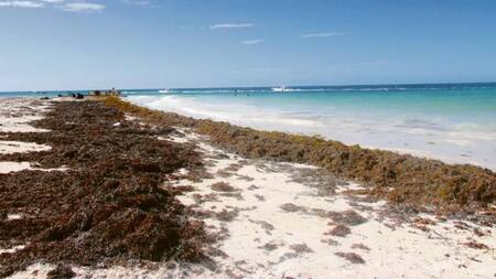 Playas Florida. Foto: EFE.