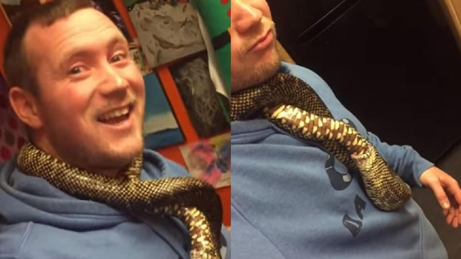 SERPIENTE
