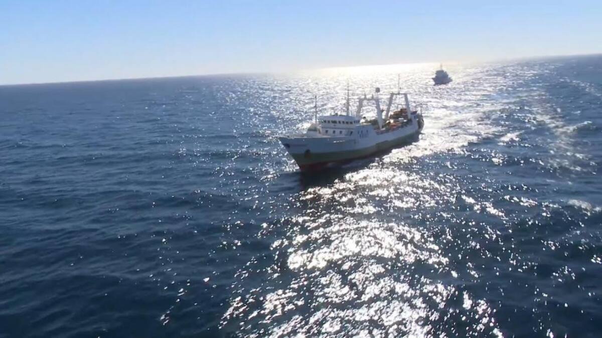 Más de 140 pesqueros extranjeros buscan refugio en aguas argentinas