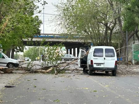 Temporal en Mendoza.