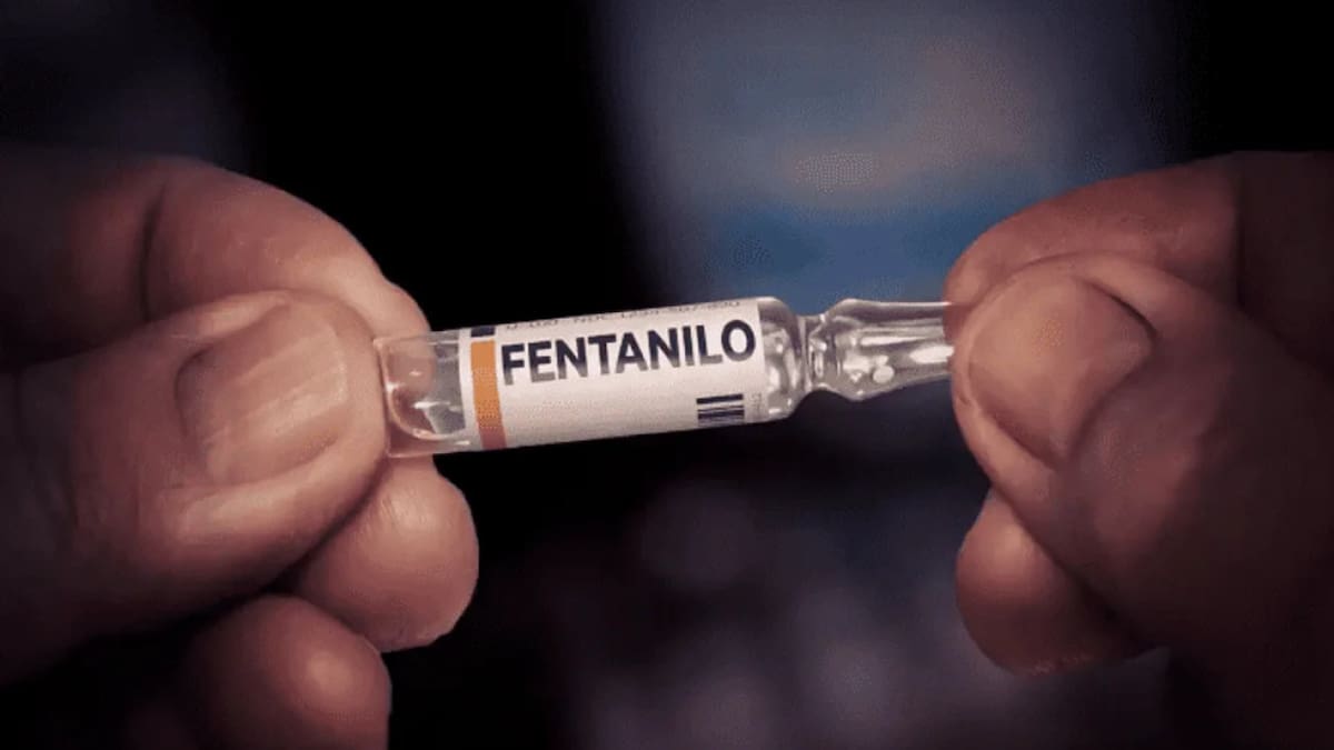 La Comisión Investigadora llegó a un informe donde presentó 20 recomendaciones para prevenir crisis sanitarias.