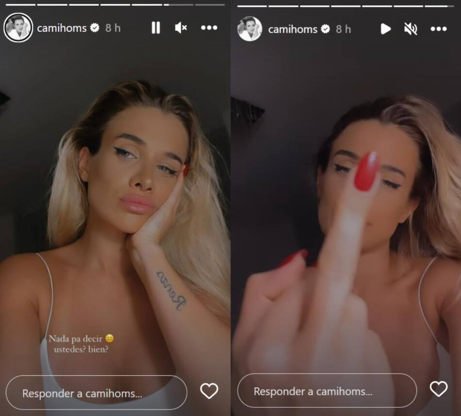 Las historias de Camila Homs. Fotos: Instagram.