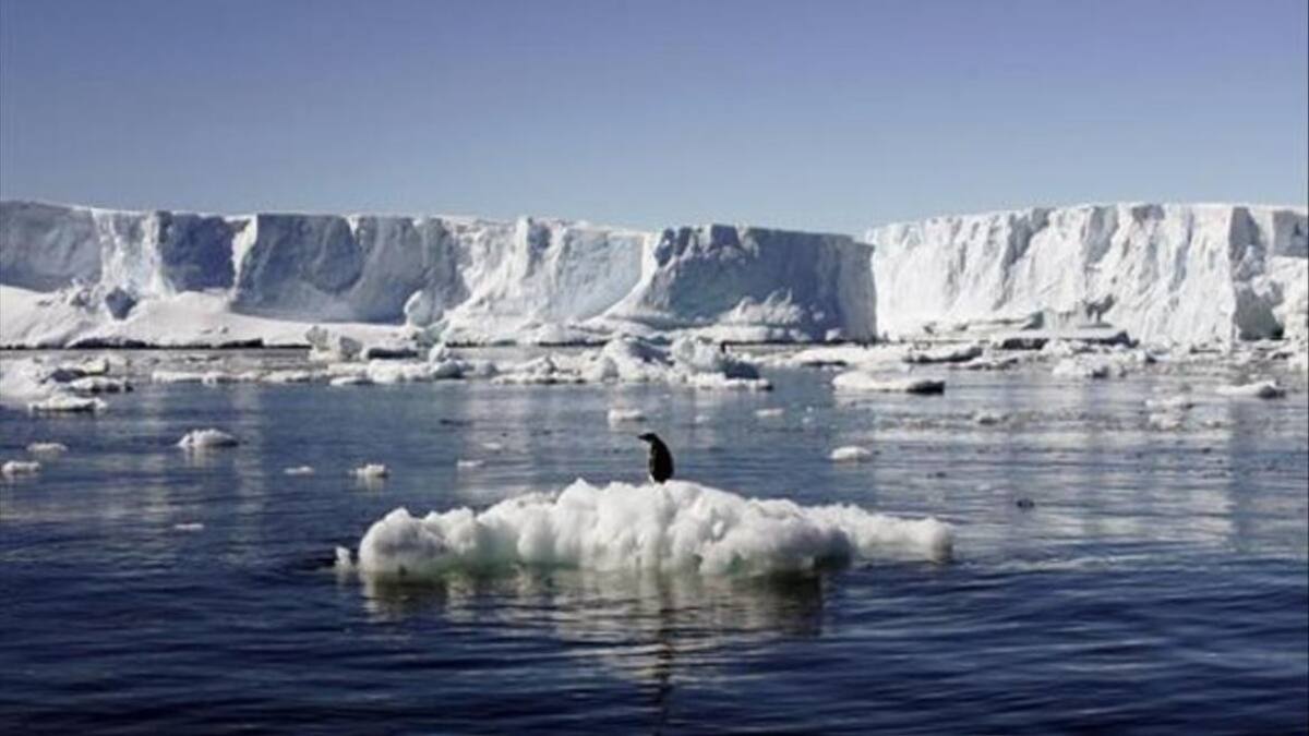 Crisis ambiental: el hielo marino antártico alcanza la extensión más baja de su historia