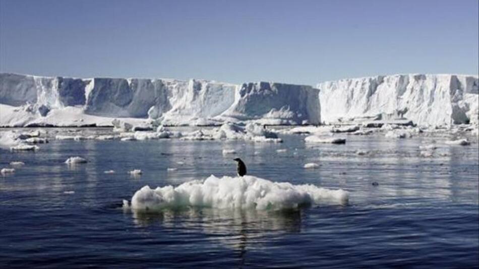 Crisis ambiental: el hielo marino antártico alcanza la extensión más baja de su historia