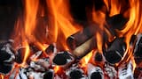 El secreto para un buen asado: qué beneficios aporta ponerle cáscara de nuez a las brasas