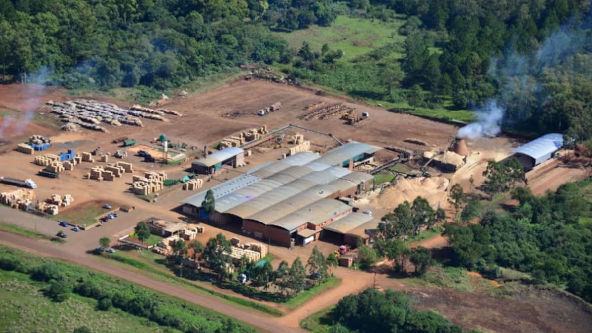 Quiebra confirmada: una histórica empresa maderera de Misiones quedó bajo control judicial
