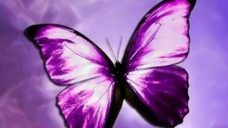 Los símbolos que los pedófilos usan para reconocerse en Internet - Pediatra del Hospital Garrahan detenido