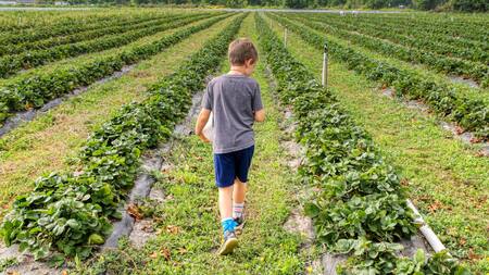 Permacultura. Foto: Unsplash