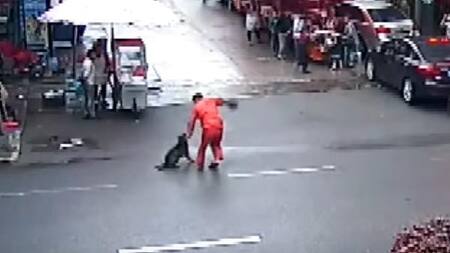 Ataque de perro feroz