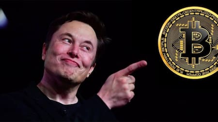 Elon Musk y los Bictoins, Economía.