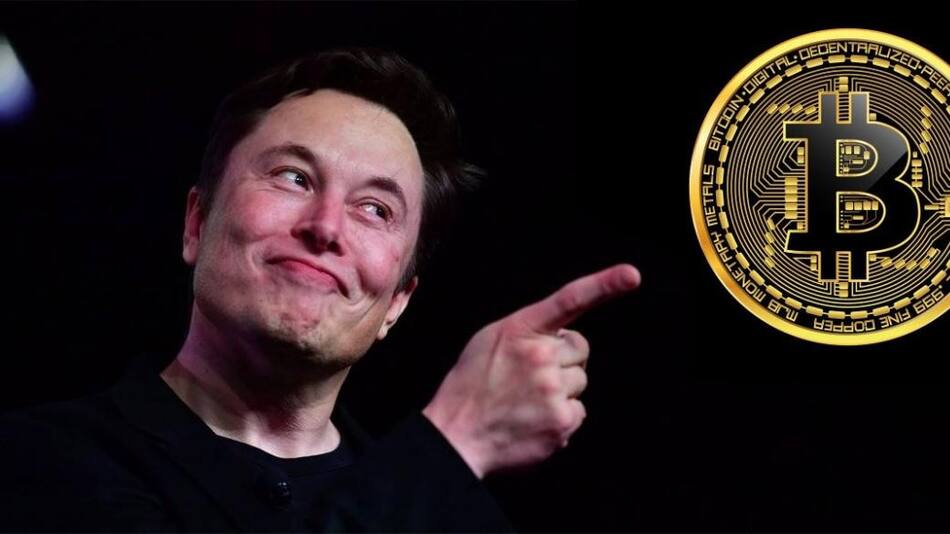 Elon Musk y los Bictoins, Economía.