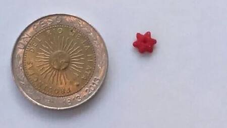 Droga - Mar del Plata