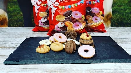 Surtido de galletitas de Terrabusi.