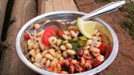 Tarwi; superalimento. Foto: Gentileza Andina.