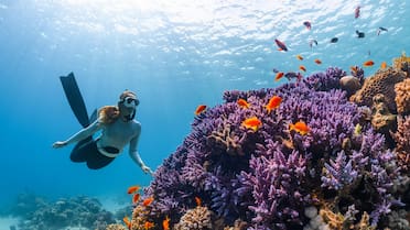Más allá de Puerto Madryn: dónde bucear en Argentina y vivir una experiencia inolvidable