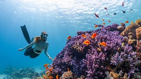 Dónde bucear en Argentina y vivir una experiencia inolvidable.