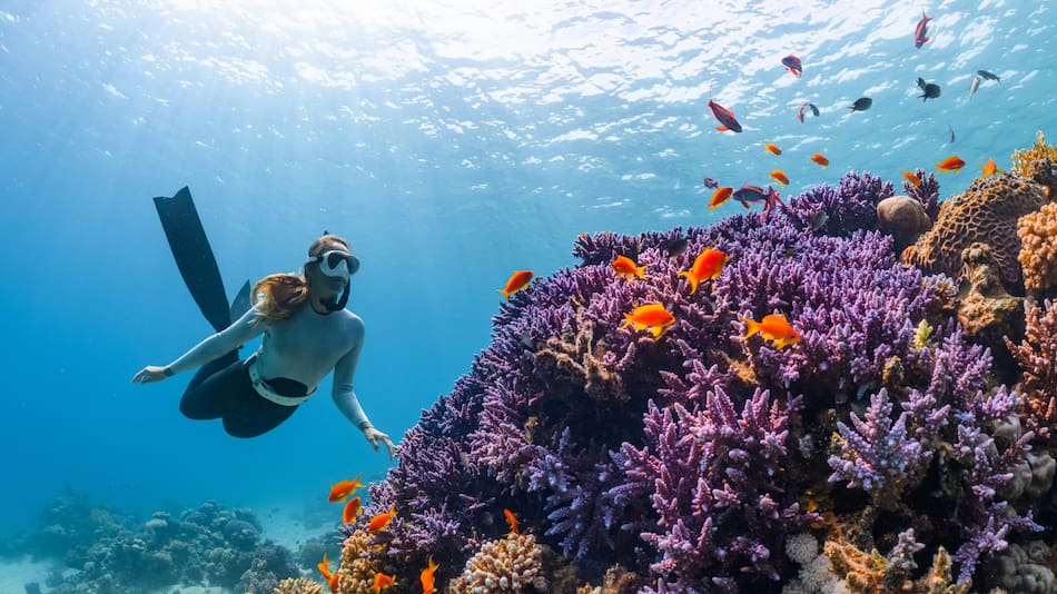 Dónde bucear en Argentina y vivir una experiencia inolvidable.