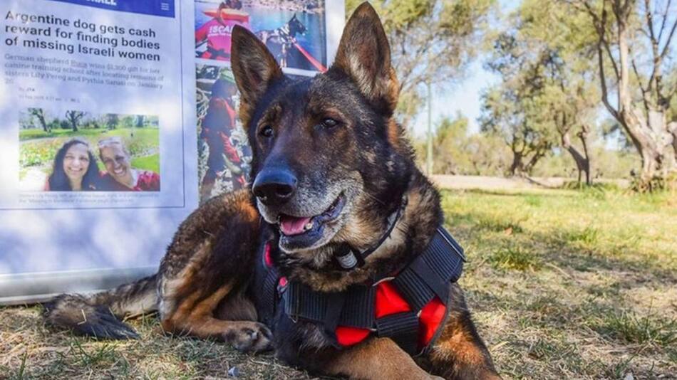 Ruca tenía 13 años y llevaba casi un año sin prestar servicio. Foto: gentileza Los Andes.