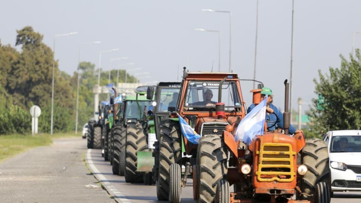 Tractor, campo