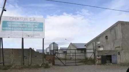 La chanchería donde fue rescatado el ciudadano chileno. Foto: NA