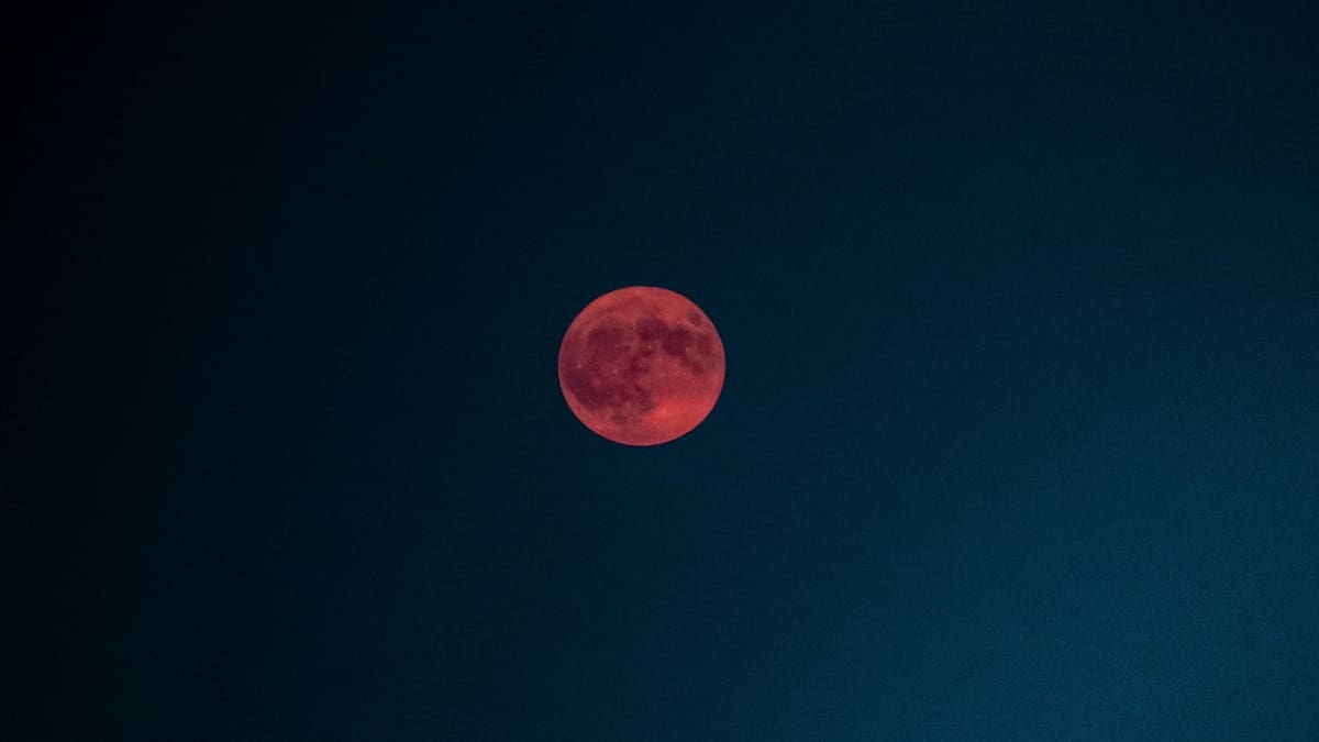 Luna de Fresa tendrá lugar en junio 2025. Foto: Unsplash