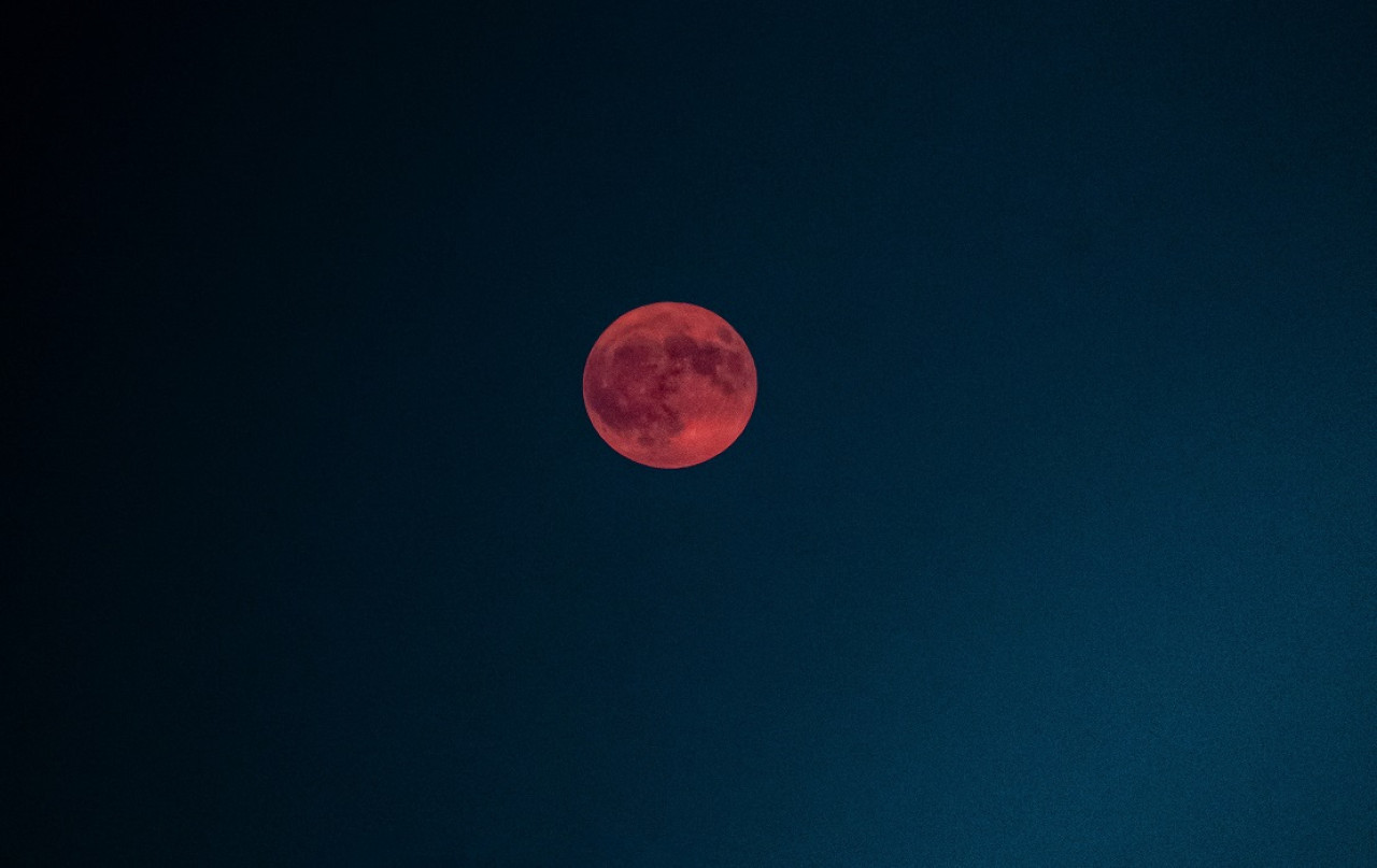 Luna de Fresa tendrá lugar en junio 2025. Foto: Unsplash