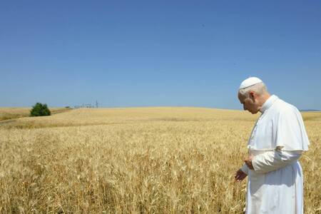 El Papa León XIV en la instalación agrovoltaica que surtirá de energía renovable al Vaticano. Foto: EFE