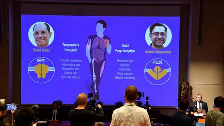 Premio Nobel de Medicina, EFE